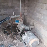 طهر دامداری ۲۰۰۰راس گوسفند.مجوز ۷۰۰۰متر گلخانه|فروش دفتر صنعتی، کشاورزی، تجاری|باغ ملک, |دیوار