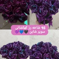 گل ربانی|گل مصنوعی|پلدختر, |دیوار