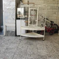 قفس بزرگ