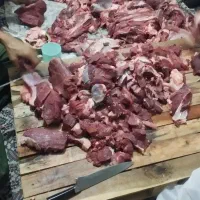 قصاب هستم|خدمات پذیرایی، مراسم|زاهدان, |دیوار