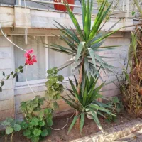 خانه-رایگان-منزل-مسکونی-رایگان