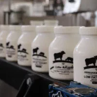 استخدام نیروی با تجربه در کارخانه لبنیات