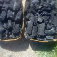 ژغال کبابی|کوهنوردی و کمپینگ|رستم, |دیوار