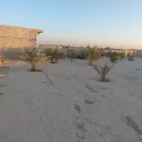 زمین|فروش زمین و ملک کلنگی|بندر گناوه, |دیوار