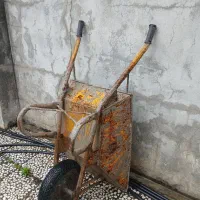 فرغون پارس اصل