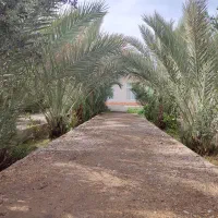 باغ-منزل
