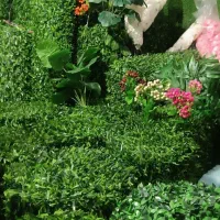 فنس چمنی و برگی به قیمت تولید|خدمات باغبانی و درختکاری|شیراز, جوادیه|دیوار