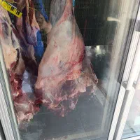 تهیه گوشت انواع مراسمات باحضور مشتری-کیفیت تضمینی|خدمات پذیرایی، مراسم|خرم‌آباد, |دیوار