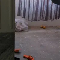 منزل مسکونی میدان سکه کوچه شهید بخشنده|اجارهٔ آپارتمان|کنگاور, |دیوار