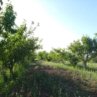 فروش سه هکتار ملک و باغ|فروش زمین و ملک کلنگی|تهران, حر|دیوار