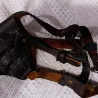 پوزه بند سگ