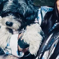 واگذاری|سگ|مشهد, ارشاد|دیوار