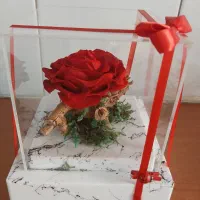 هدیه ماندگار برای روز زن