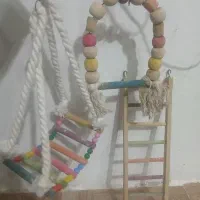 قفس