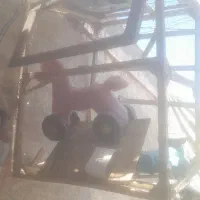 قفس فروشی سالم