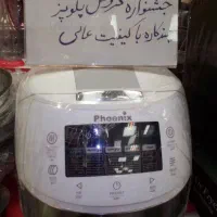 پلوپز چندکاره جشنواره ای|اجاق گاز و لوازم برقی پخت‌وپز|بیرجند, |دیوار