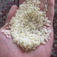برنج نوک سیاه شمال خراسان|خوردنی و آشامیدنی|تهران, مرزداران|دیوار