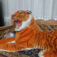 ببرپلیشی سایزبزرگ|اسباب‌‌بازی|قم, شهرک امام حسن|دیوار