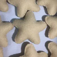 ستاره و ابر های نمدی