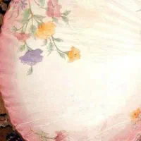 ارکوپال الیزه اصل ۲عدد دیس و۱عددسوپ خوری سالم|ظروف سرو و پذیرایی|تهران, ائمه اطهار|دیوار
