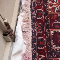 فرش دستباف خشتی|فرش|اصفهان, مهدیه|دیوار