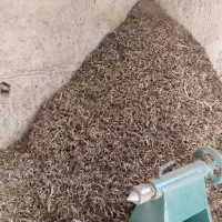 پوشال و خاک اره خراطی