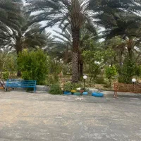 نیازمند کارگر جهت باغ ۲هکتاری