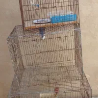 قفس  پرنده در سه سایز مختلف