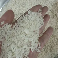 برنج درجه یک هاشمی الموت خوش قیمت خوش پخت خوش عطر|خوردنی و آشامیدنی|محمدیه-قزوین, |دیوار