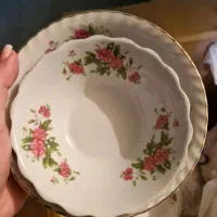 سرویس چینی گل سرخی|ظروف سرو و پذیرایی|کرج, شهرک فهمیده|دیوار