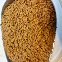 پخش قهوه موعود|کافی‌شاپ و رستوران|آبادان, |دیوار