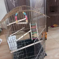 قفس بزرگ درحد نو