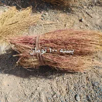 جارو باغی دستی|لوازم نظافت|لردگان, |دیوار