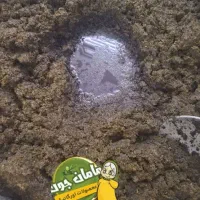 سبزی قرمه سرخ شده