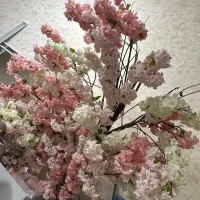 وسایل سالن زیبایی|آرایشگاه و سالن‌های زیبایی|ایذه, |دیوار