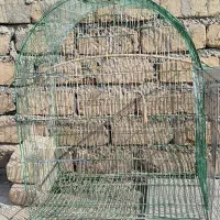 ۴ عدد قفس پرنده|لوازم جانبی حیوانات|ساوه, |دیوار