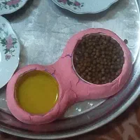 ساخت وسایل پت شاپ ظرف غذا پلاک هوشمند قلاده منجوقی