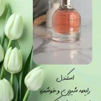 عطر و ادکلن (انواع ادکلن های زنانه و مردانه)|آرایشی، بهداشتی، درمانی|رشت, کوی مهر|دیوار