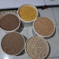 حبوبات محلی