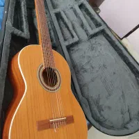 گیتار پارسی همراه با کیف و پیک