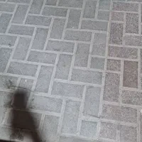 مشارکت