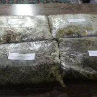 سبزی قورمه وسبزی پلویی وانواع ترشی خانگی