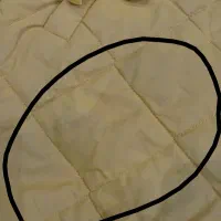 کاپشن  خردلی|لباس|نوشهر, |دیوار