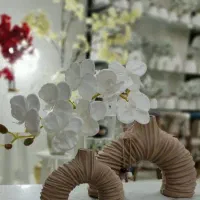 گلدان|حراج|بندرعباس, |دیوار