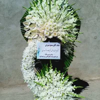 ۳۰۰گل امیری تاج گل ترحیم افتتاحیه|گل و گیاه طبیعی|تهران, ایوانک|دیوار