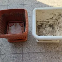 ۳ عدد گلدان هر کدام دانه ایی۴۰۰هزار تومان