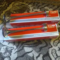 بوق اکتروسی فیام اصل