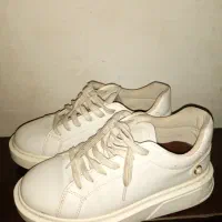 پوتین مردانه|کیف، کفش، کمربند|تبریز, |دیوار