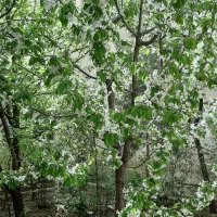 فروش آپارتمان ۱۲۰ متری