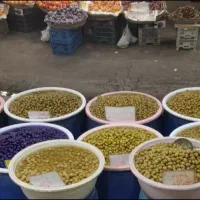کارگر ساده ترشی زیتون|استخدام خدمات فروشگاه و رستوران|تهران, امام حسین|دیوار